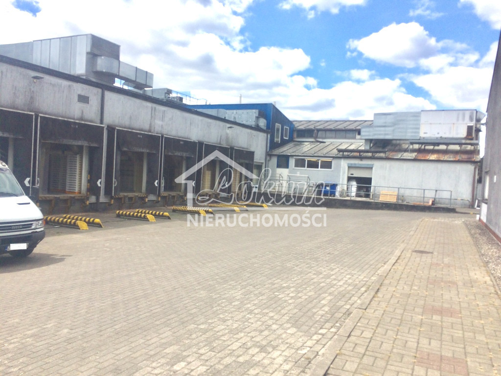 Magazyn na sprzedaż, 3500 m², Kliniska Wielkie, Piastowska - zdjęcie 4