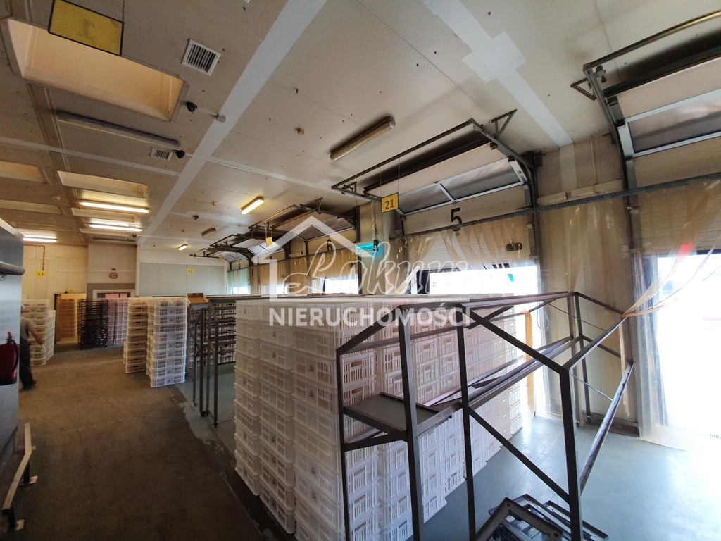 Magazyn na sprzedaż, 3500&nbsp;m², Kliniska Wielkie, Piastowska - zdjęcie 10