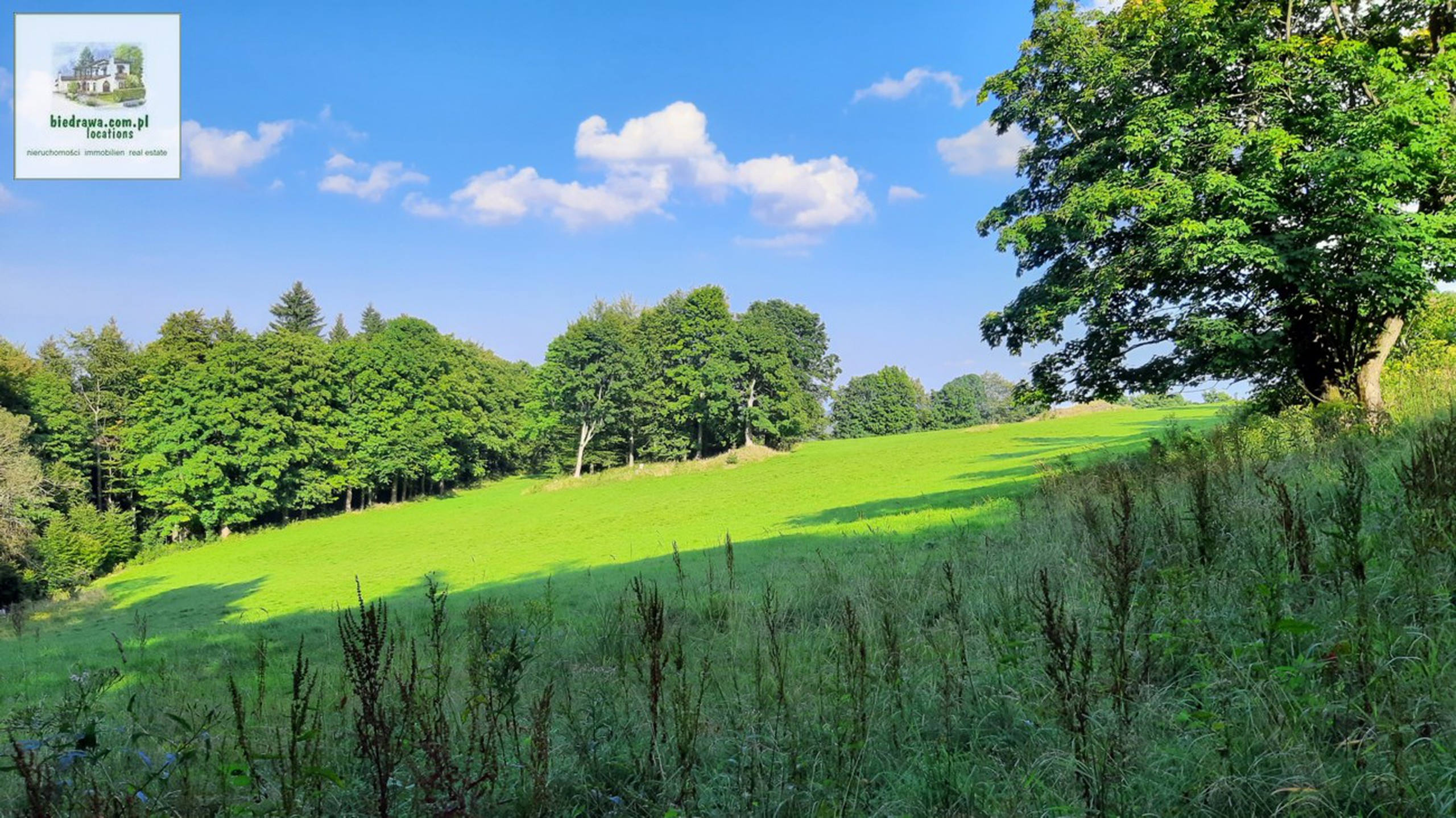 NOWA CENA: Zieleniec ostatnia działka, 50 arów, możliwość budowy pensjonatu/hotelu lub domu/domków. - zdjęcie 10
