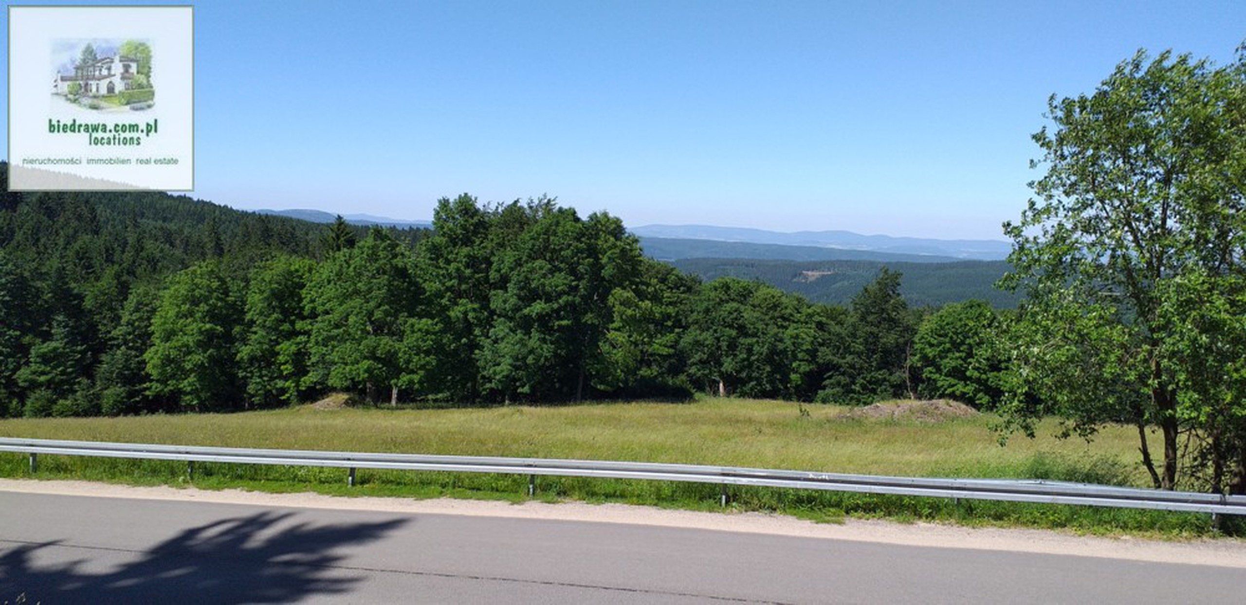 NOWA CENA: Zieleniec ostatnia działka, 50 arów, możliwość budowy pensjonatu/hotelu lub domu/domków. - zdjęcie 1