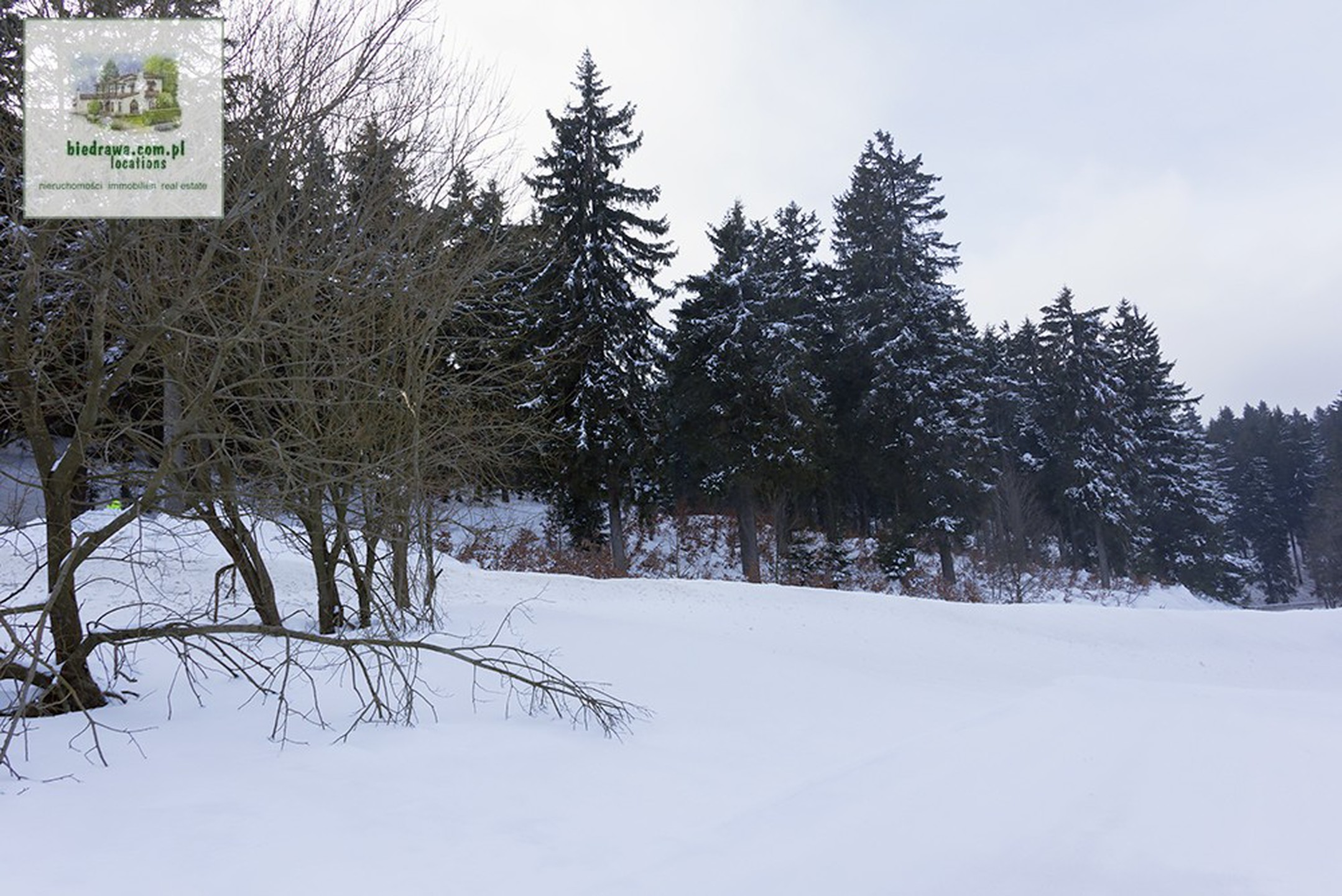 NOWA CENA: Zieleniec ostatnia działka, 50 arów, możliwość budowy pensjonatu/hotelu lub domu/domków. - zdjęcie 8