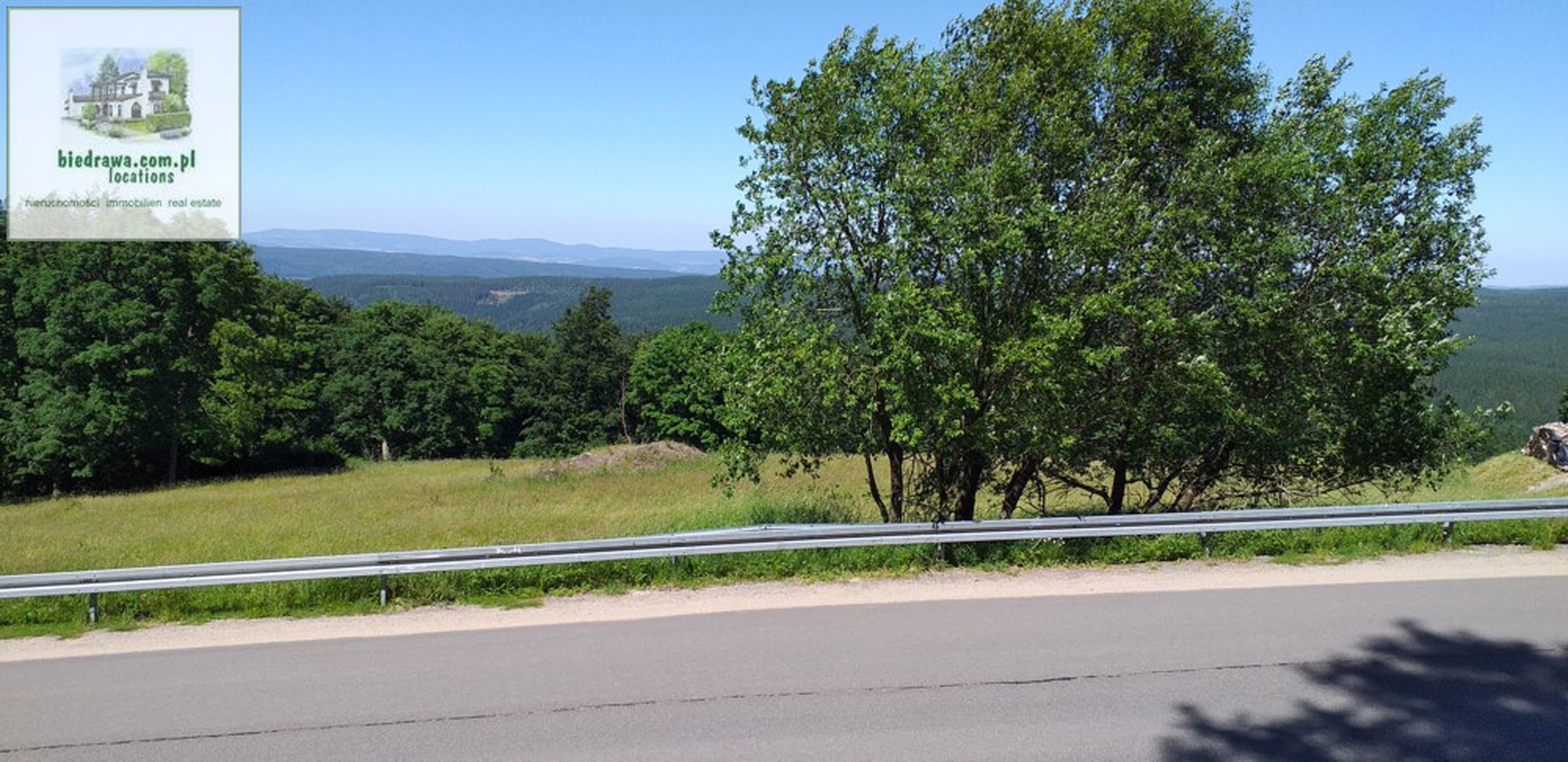 NOWA CENA: Zieleniec ostatnia działka, 50 arów, możliwość budowy pensjonatu/hotelu lub domu/domków. - zdjęcie 3