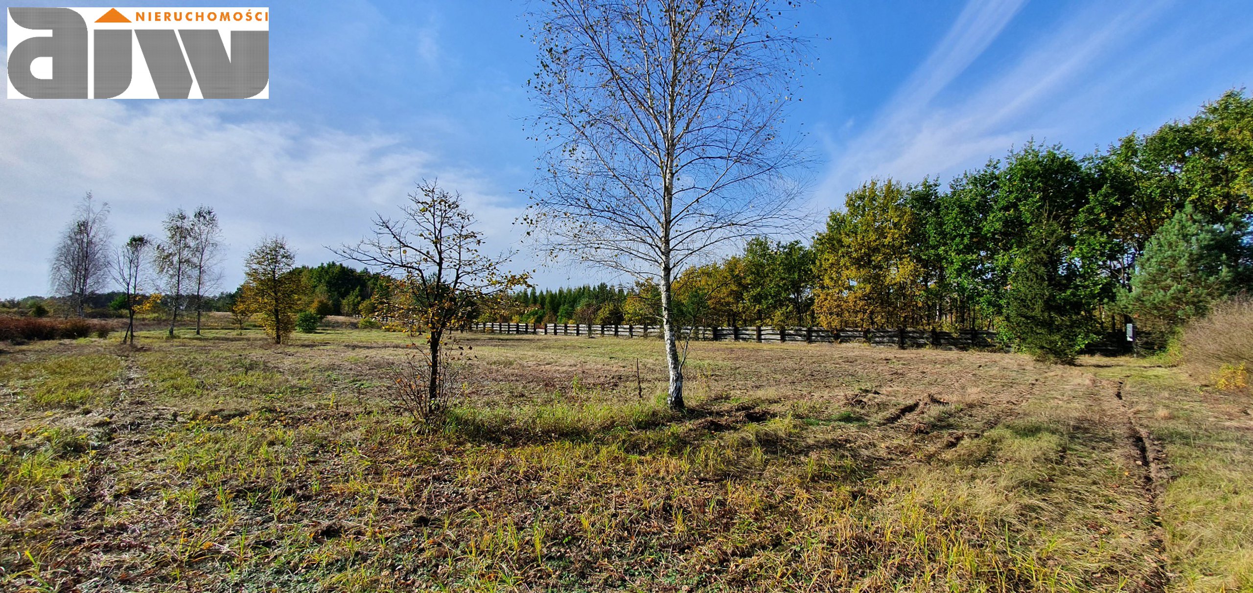 Wiktorów działka 4200 m2 - zdjęcie 2
