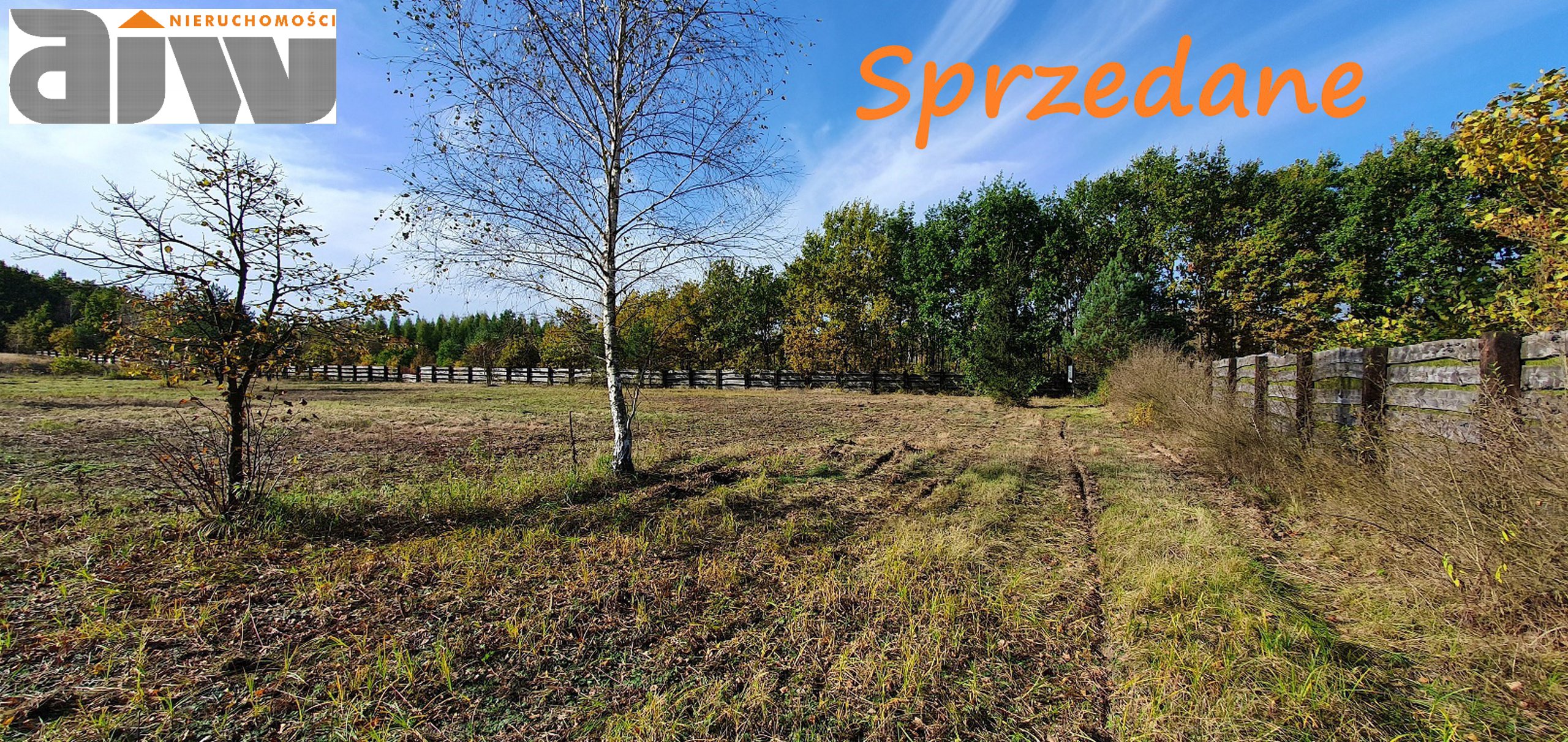 Wiktorów działka 4200 m2 - zdjęcie 1