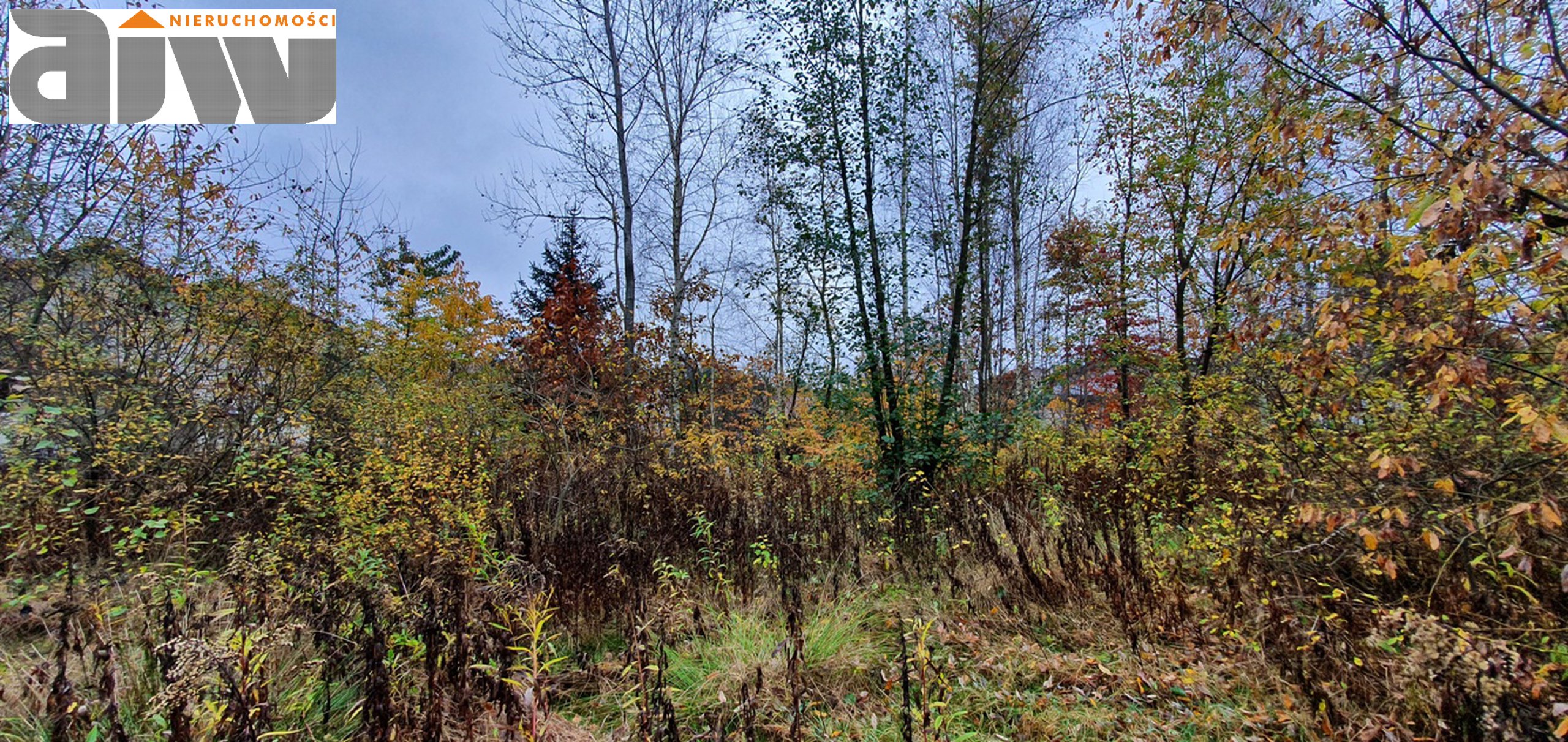 Działka 1500m2 Izabelin C - zdjęcie 2