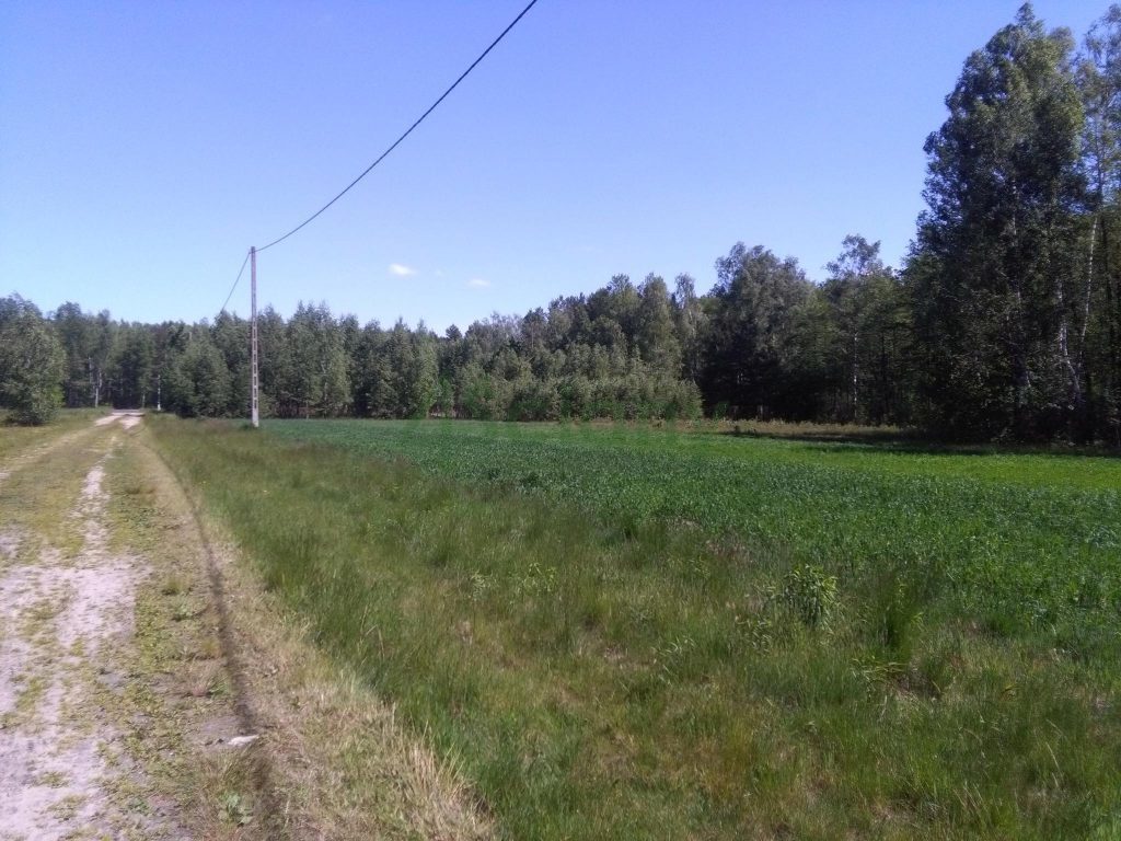 Działka budowlana 1650&nbsp;m², Pęclin - zdjęcie 1