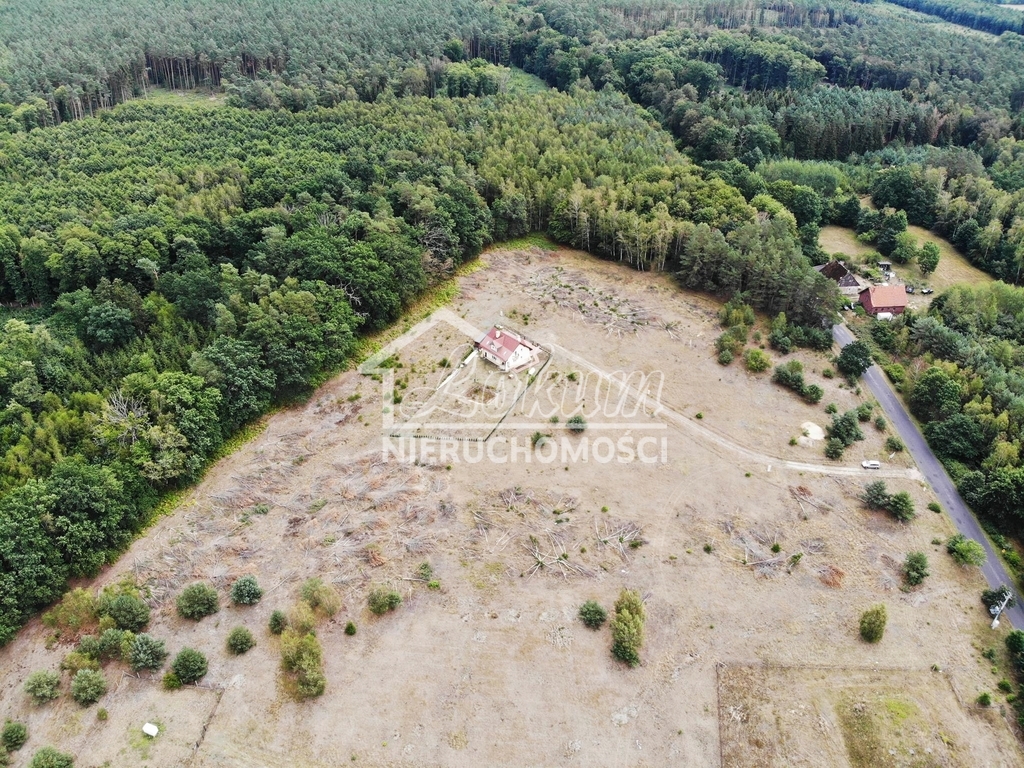Działka budowlana 4225&nbsp;m², Stepnica - zdjęcie 6