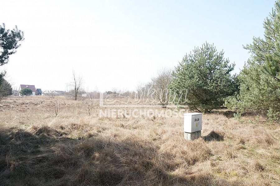Działka budowlana 1980&nbsp;m², Rurzyca - zdjęcie 1