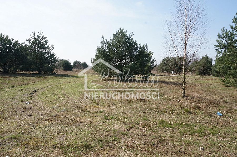 Działka budowlana 1980&nbsp;m², Rurzyca - zdjęcie 6