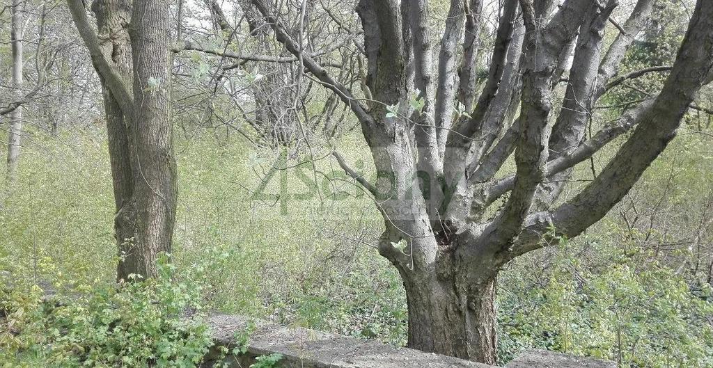 Działka inwestycyjna 4686&nbsp;m², Piastów - zdjęcie 2