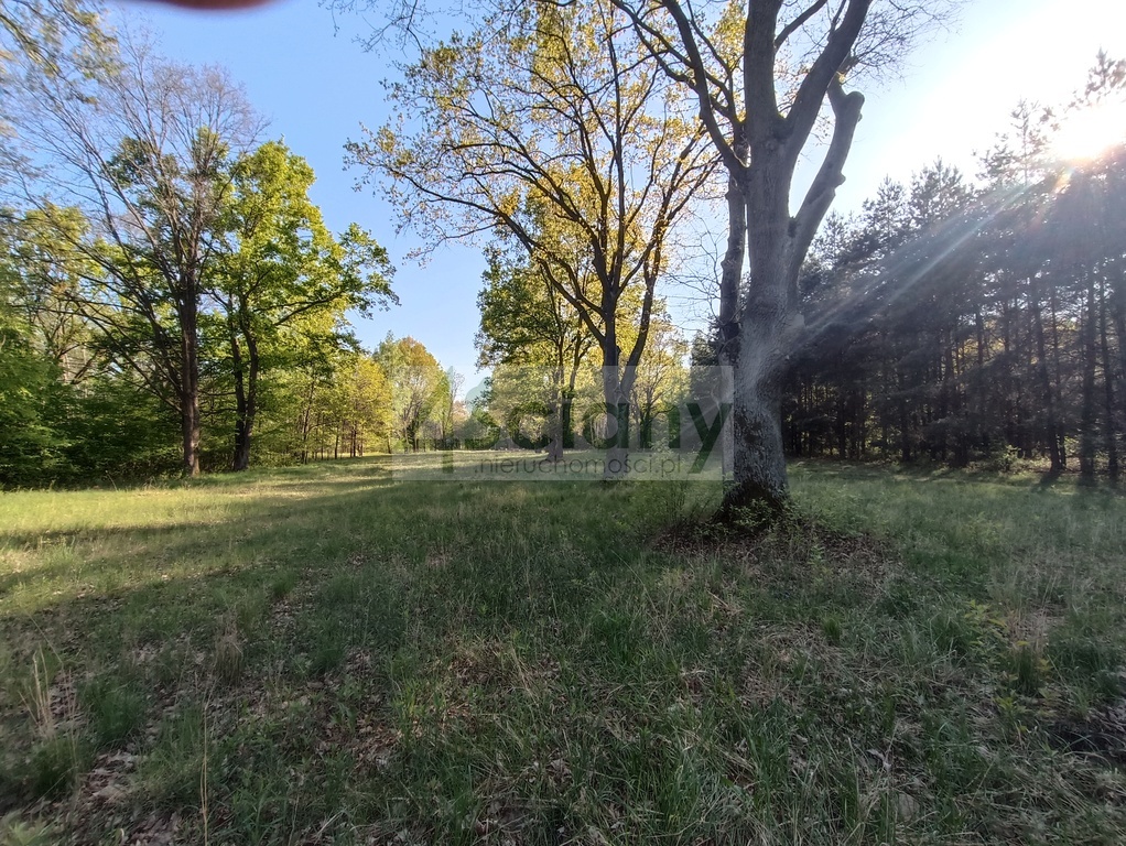 Działka budowlana 1951 m², Jabłonna - zdjęcie 6