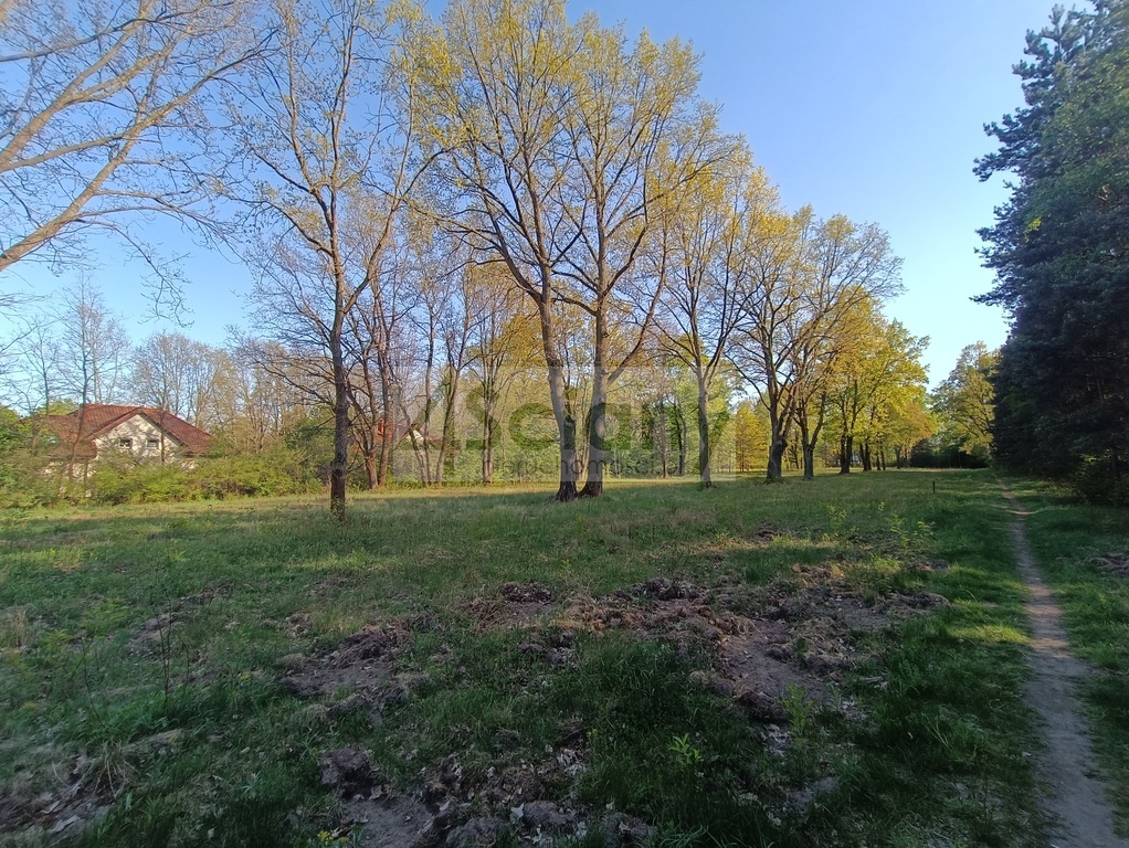 Działka budowlana 1951 m², Jabłonna - zdjęcie 5