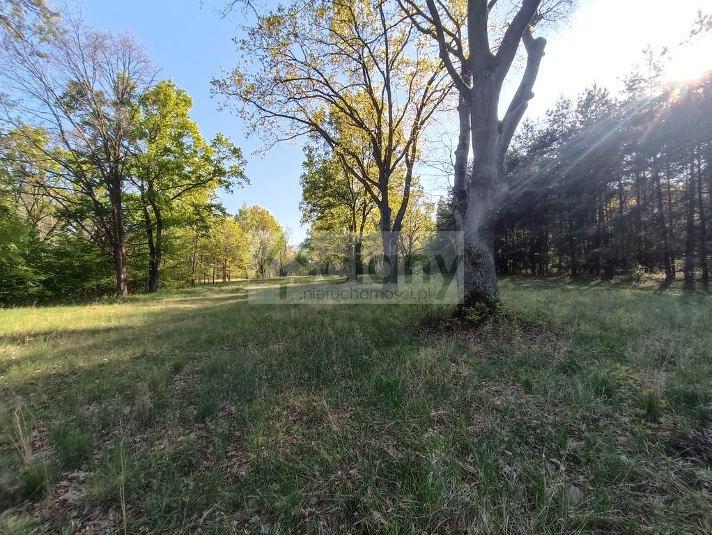 Działka budowlana 1951 m², Jabłonna - zdjęcie 1