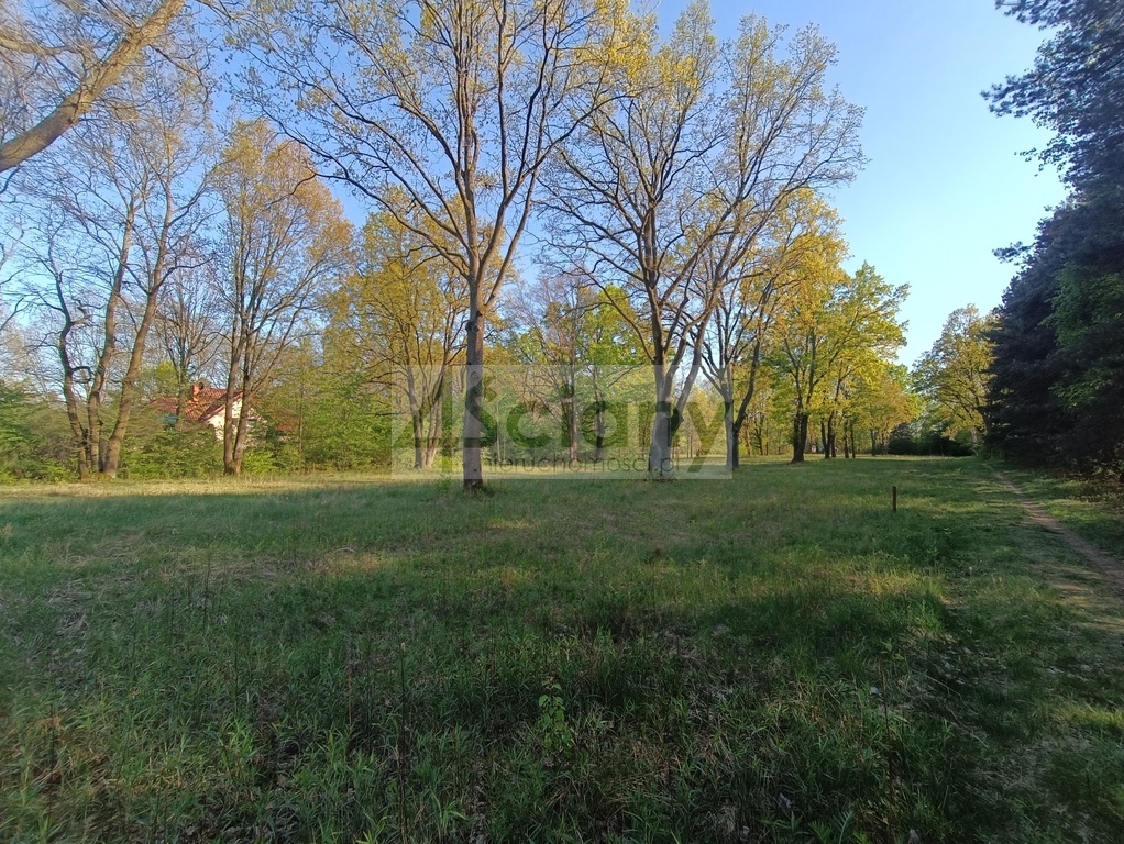 Działka budowlana 1951 m², Jabłonna - zdjęcie 4