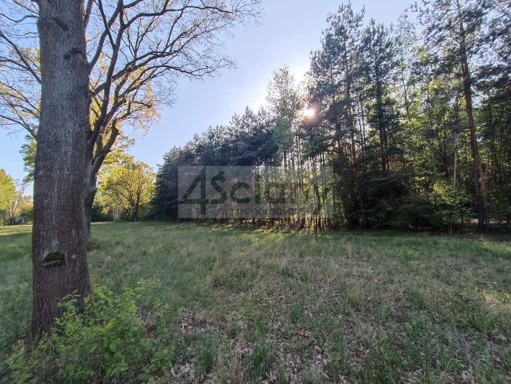 Działka budowlana 1951 m², Jabłonna - zdjęcie 3