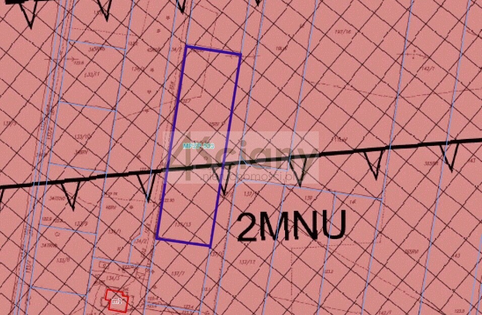 Działka budowlana 3000 m², Nowy Prażmów - zdjęcie 2