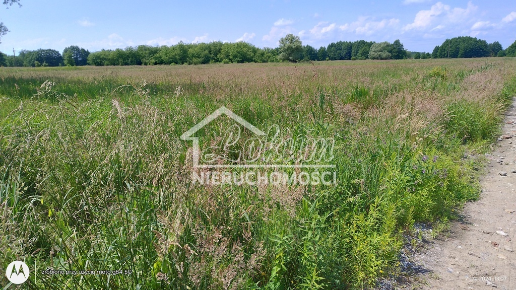 Działka gospodarstwo 3003 m², Łęgi - zdjęcie 1