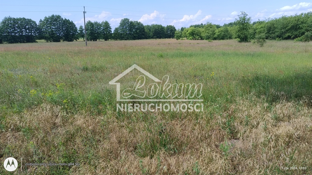 Działka gospodarstwo 3097&nbsp;m², Łęgi - zdjęcie 2