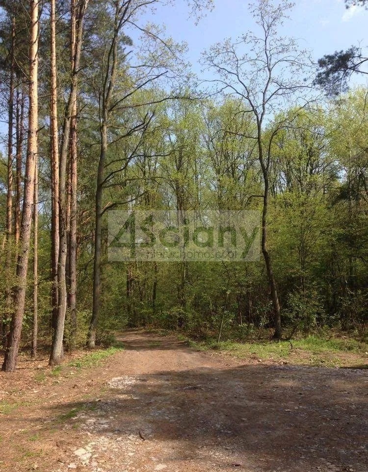 Działka budowlana 1,20&nbsp;ha, Sękocin-Las - zdjęcie 3