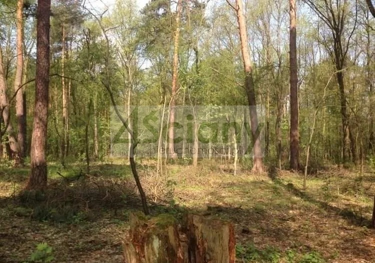 Działka budowlana 1,20&nbsp;ha, Sękocin-Las - zdjęcie 1