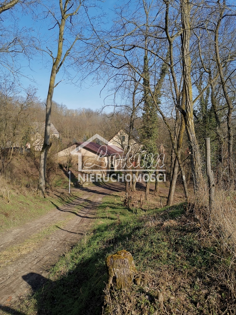 Dom 545&nbsp;m², Stary Kostrzynek - zdjęcie 13