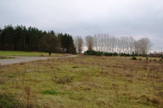 Działka budowlana 5314&nbsp;m², Krzewo - zdjęcie 6