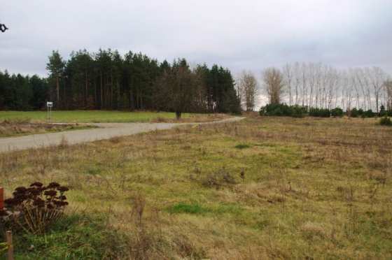 Działka budowlana 5314&nbsp;m², Krzewo - zdjęcie 4