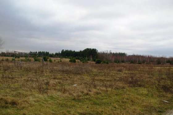 Działka budowlana 5314&nbsp;m², Krzewo - zdjęcie 5