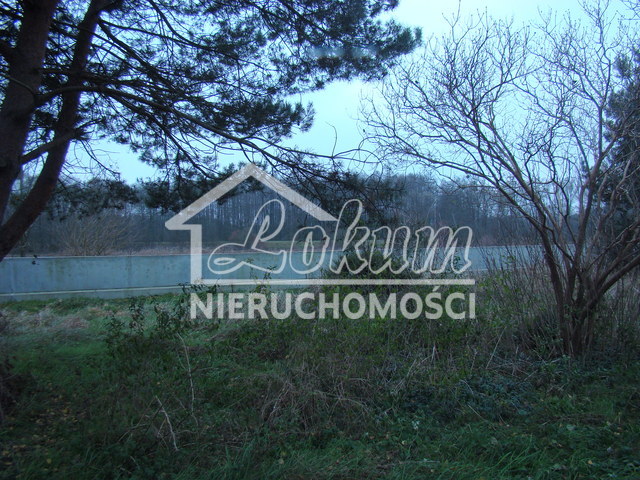 Działka budowlana 2267 m², Pniewo - zdjęcie 5