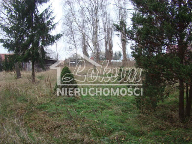 Działka budowlana 2267 m², Pniewo - zdjęcie 7