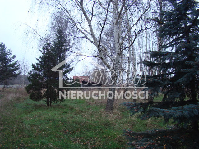 Działka budowlana 2267 m², Pniewo - zdjęcie 17