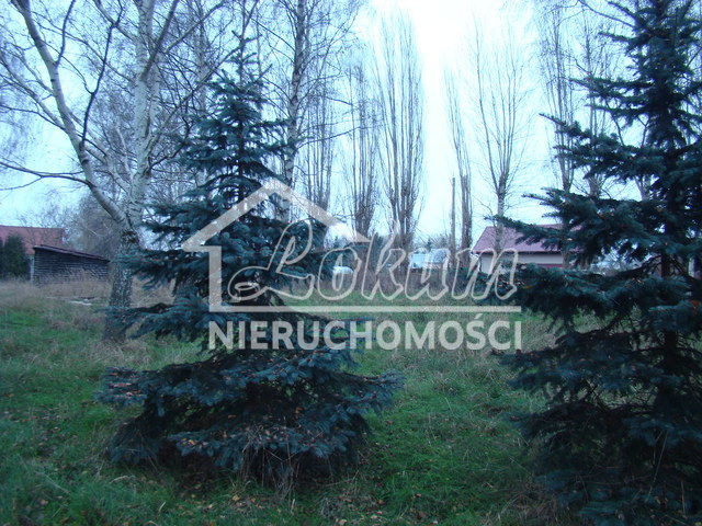 Działka budowlana 2267 m², Pniewo - zdjęcie 3