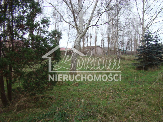 Działka budowlana 2267&nbsp;m², Pniewo - zdjęcie 8