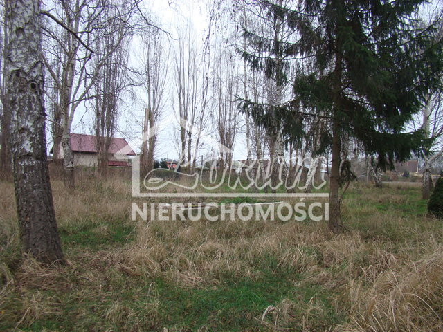Działka budowlana 2267 m², Pniewo - zdjęcie 11