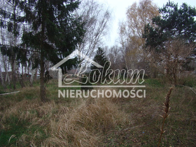 Działka budowlana 2267 m², Pniewo - zdjęcie 12