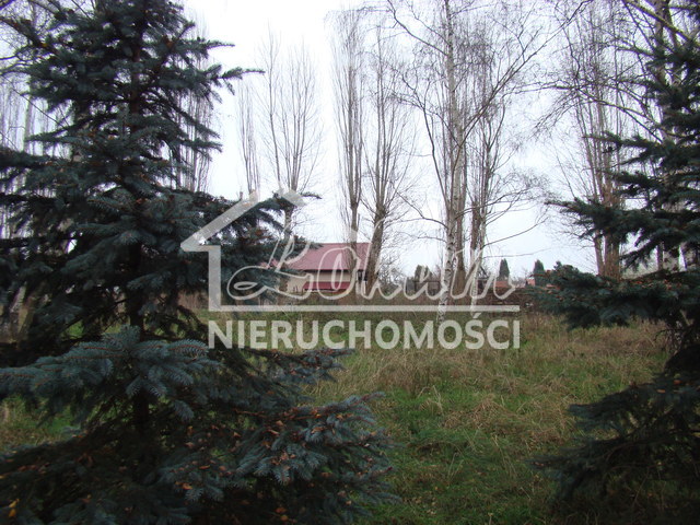 Działka budowlana 2267&nbsp;m², Pniewo - zdjęcie 18