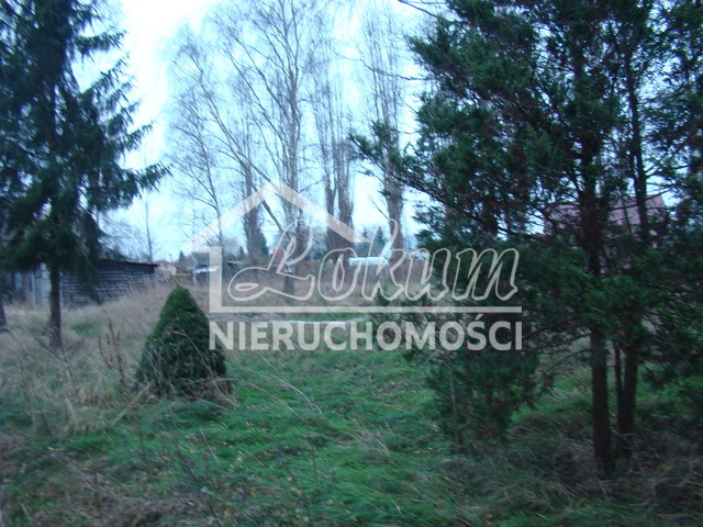 Działka budowlana 2267 m², Pniewo - zdjęcie 6