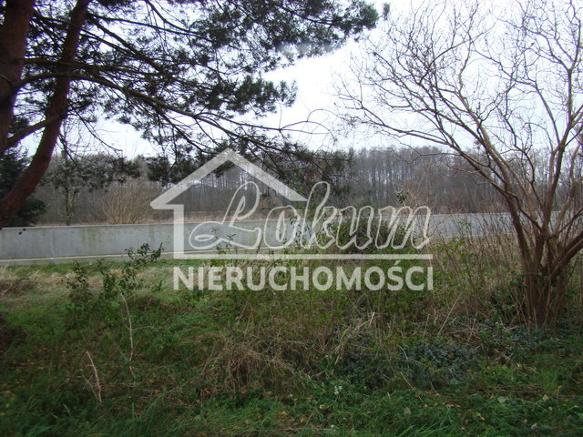 Działka budowlana 2267 m², Pniewo - zdjęcie 10