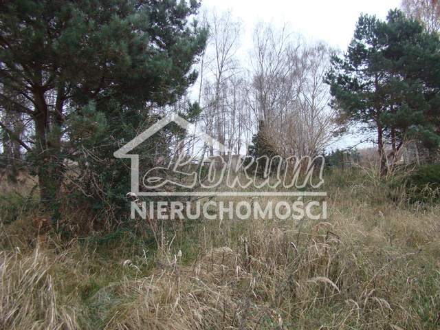 Działka budowlana 2267 m², Pniewo - zdjęcie 1