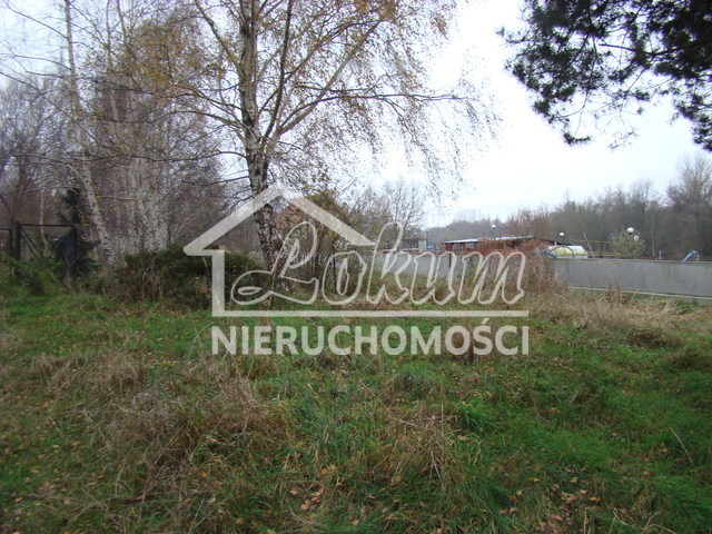Działka budowlana 2267 m², Pniewo - zdjęcie 9