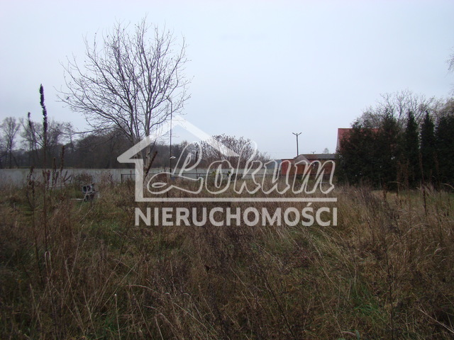 Działka budowlana 2267 m², Pniewo - zdjęcie 13