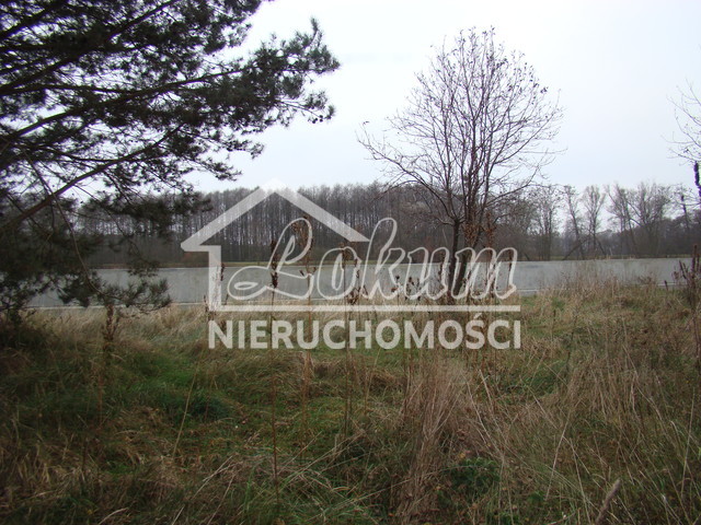 Działka budowlana 2267 m², Pniewo - zdjęcie 2