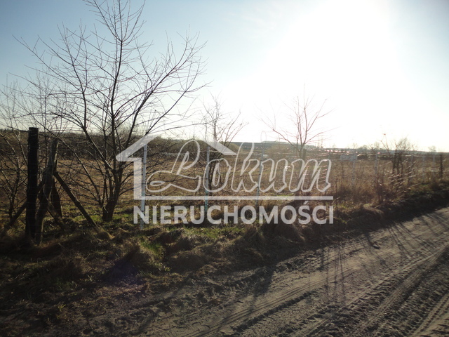 Działka rolna 3000&nbsp;m², Stobno - zdjęcie 2