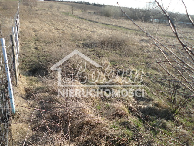 Działka rolna 3000&nbsp;m², Stobno - zdjęcie 1