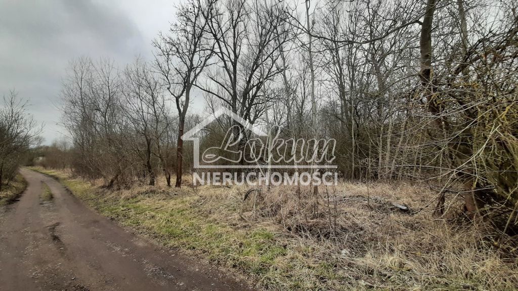 Działka rolna 3000&nbsp;m², Karwowo - zdjęcie 5