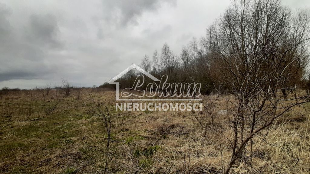 Działka rolna 3000 m², Karwowo - zdjęcie 8