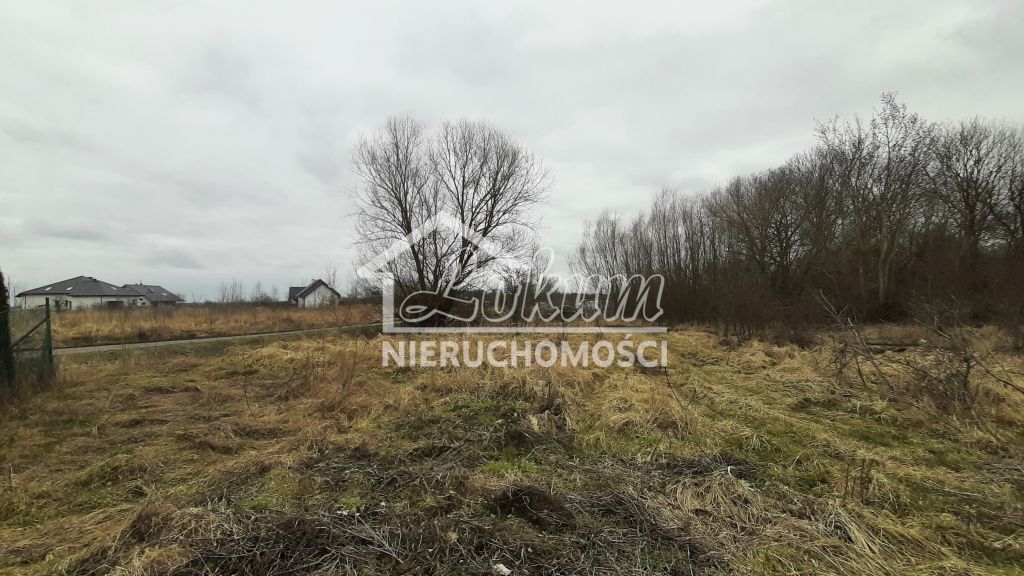 Działka rolna 3000&nbsp;m², Karwowo - zdjęcie 2