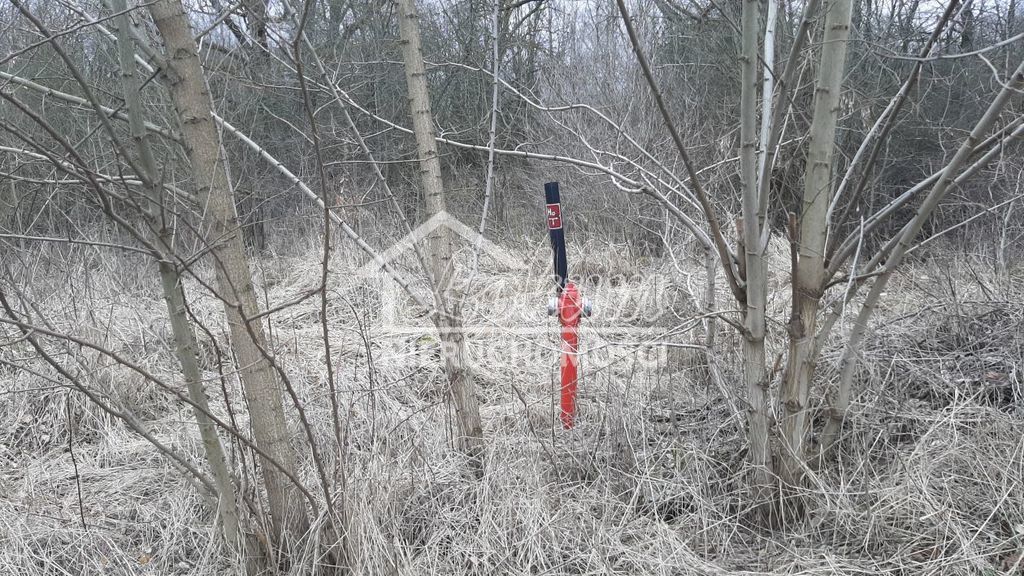 Działka rolna 3000&nbsp;m², Karwowo - zdjęcie 6