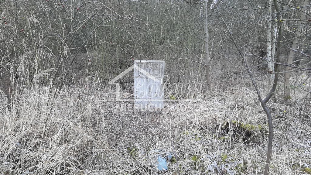 Działka rolna 3000 m², Karwowo - zdjęcie 7