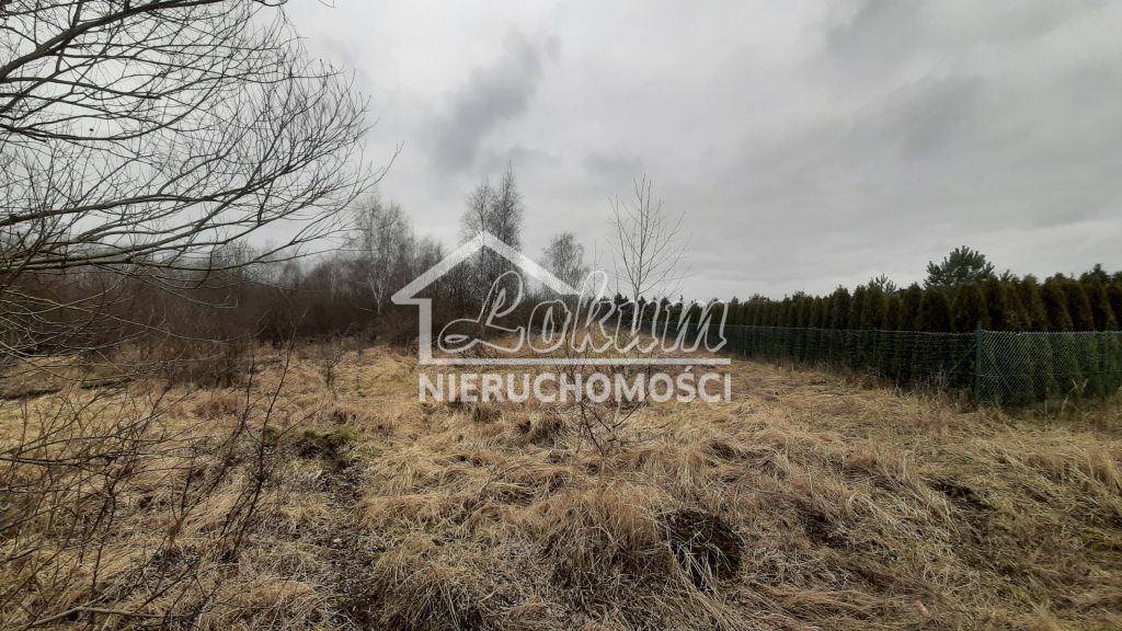 Działka rolna 3000&nbsp;m², Karwowo - zdjęcie 4